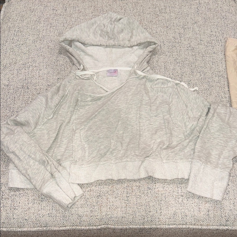 Urban Outfitters Heather Light Gray Cropped Hoodie